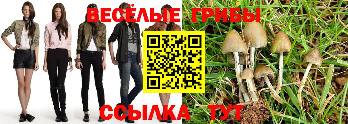 Псилоцибиновые грибы GOLDEN TEACHER Полысаево