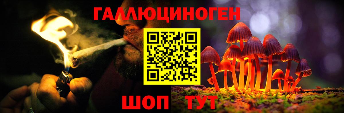 купить закладку  Галлюциногенные грибы ЛСД  Вход с VPN  Полысаево 